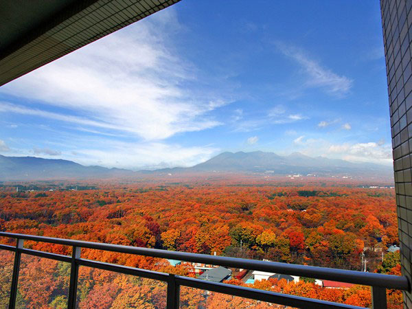 那須温泉　ホテルエピナール那須