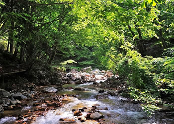 信州高山温泉郷　仙人露天岩風呂と渓谷美の宿　山田温泉　風景館