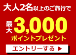 大人2名以上のご旅行で最大3,000ポイントプレゼント