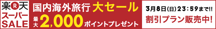 楽天スーパーSALE 割引プラン販売中!