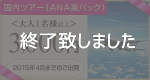 ANA3000円クーポン