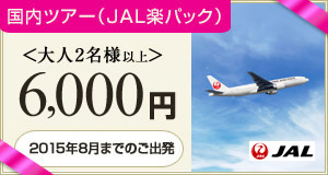 JAL6000円クーポン