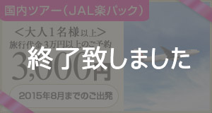 JAL3000円クーポン