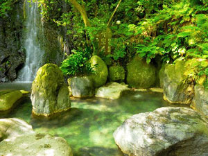 湯河原温泉　青巒荘（せいらんそう）