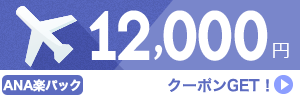 【ANA楽パック】11月～3月のご出発に使える12,000円クーポン（先着利用100枚）