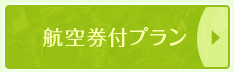 航空券付プラン