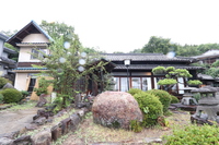 虎所lit