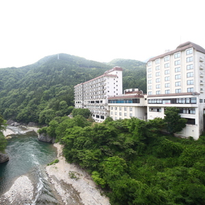 鬼怒川温泉ホテルニューおおるり の口コミ 詳細 お湯たび