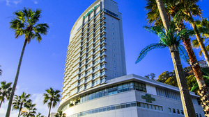 熱海周辺のホテル 宿 旅館が安い His旅プロ 国内旅行ホテル最安値予約
