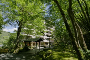 修善寺温泉 恋人とのデートで絶対泊まりたい カップルにおすすめの宿 口コミあり お湯たび
