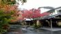 伊豆の温泉へ1泊だけ高級な温泉宿に泊まってみたい！食事がおいしい贅沢できるホテルは？