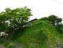 小樽・キロロ・積丹・余市『おたるないバックパッカーズホステル杜の樹』のイメージ写真
