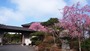 年末年始は友人と芦ノ湖温泉。1年の疲れを流して箱根神社に初詣！