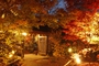 10月連休、湯の川温泉（島根県）に泊まりたい！おすすめの温泉宿は？