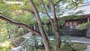 奈良・大和高原『霊山寺　宿坊　天龍閣』のイメージ写真