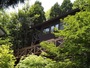 佐賀・古湯温泉『古湯の森　春野邸』のイメージ写真