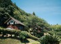 出雲・大田・石見銀山『夢の森うさぎキャンプ村』のイメージ写真