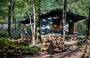 Ｎｏｌｄ　ｆｏｒｅｓｔ　ｈｏｕｓｅ