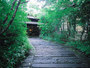 黒川温泉・杖立『小田温泉　静寂な森の宿　山しのぶ』のイメージ写真