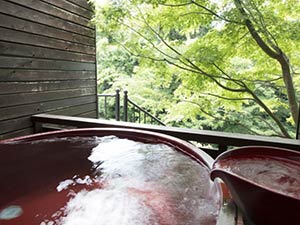 秩父七湯『御代の湯』　新木鉱泉旅館