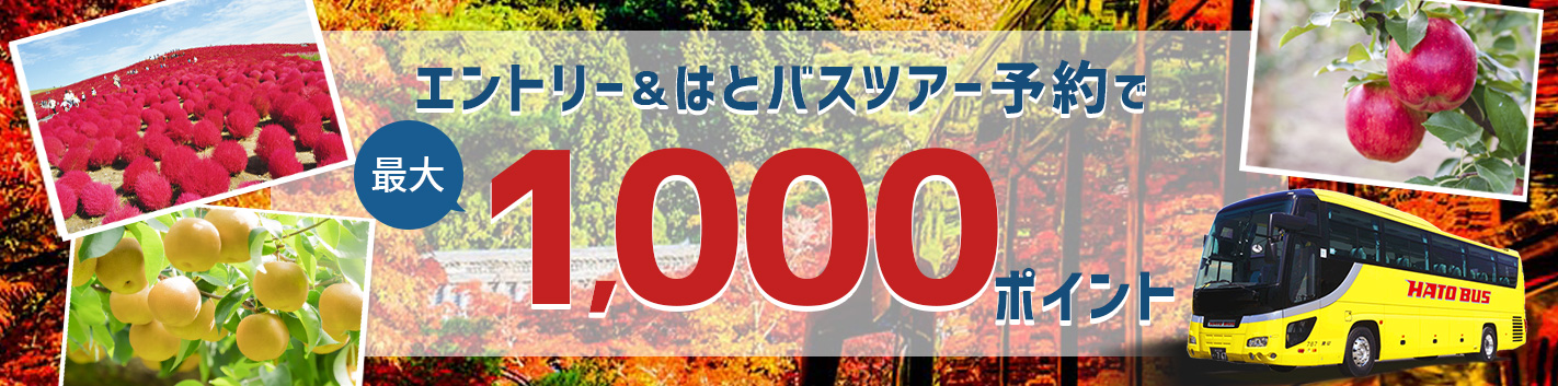 エントリー＆はとバスツアー予約で最大1,000ポイントプレゼント