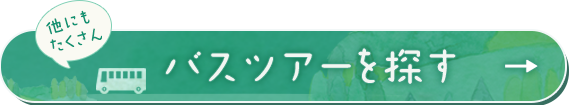 バスツアーを探す