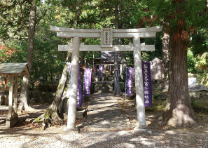  定期観光バス　語りべがご案内　世界遺産『熊野古道・なかへち』（完全予約制）Ａコース