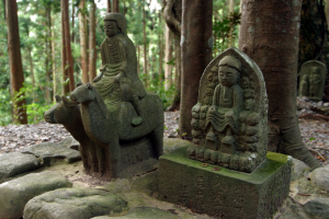  定期観光バス　語りべがご案内　世界遺産『熊野古道・なかへち』（完全予約制）Ｂコース