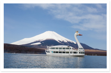 山中湖の白鳥の湖