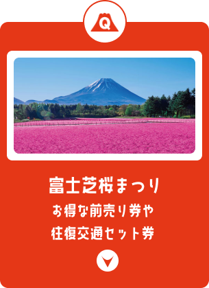 富士芝桜まつり