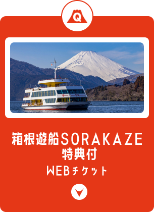 箱根遊船SORAKAZE 特典付WEBチケット