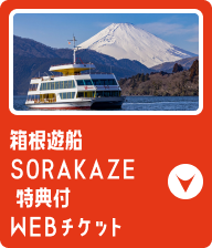 箱根遊船SORAKAZE 特典付WEBチケット