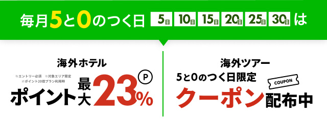 海外 旅行 航空 券 ホテル パック