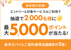 抽選で最大5,000ポイントが当たる