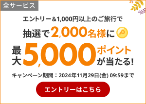 抽選で最大5,000ポイントが当たる