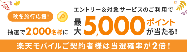 抽選で2,000名様に最大5,000ポイントが当たる!