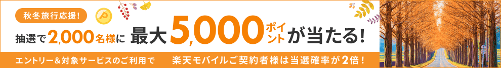 抽選で2,000名様に最大5,000ポイントが当たる!