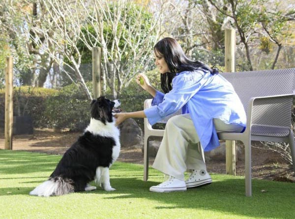 ゆるり奥日光ｗｉｔｈＤＯＧＳ