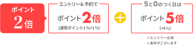 国内レンタカー