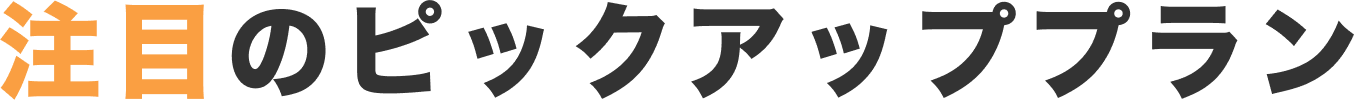 注目のピックアッププラン
