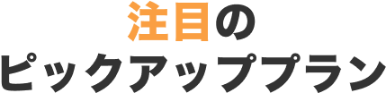 注目のピックアッププラン