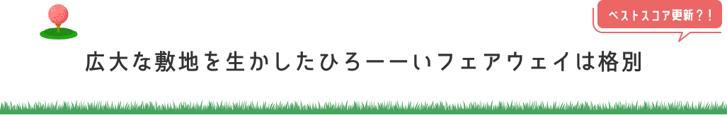 広大な敷地を生かしたひろーーいフェアウェイは格別