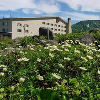 Alpine Route Adventure  Explore Japan s Northern Alps