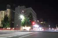 ：写真