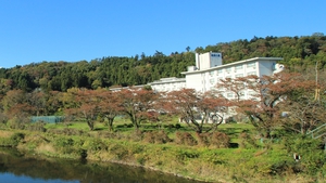 宮城蔵王キツネ村に近いおすすめ温泉宿 白石温泉薬師の湯の口コミ だれどこ