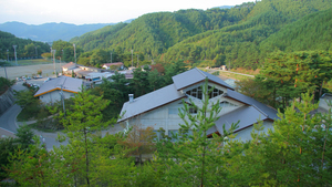 松茸狩り体験できる信州のおすすめ宿 だれどこ