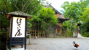 夏休みは九州へ家族旅行 源泉かけ流しで露天風呂付のおすすめ温泉宿 だれどこ