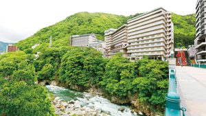 鬼怒川温泉周辺でおいしい食事が食べられるおすすめの宿は 大江戸温泉物語 鬼怒川温泉 鬼怒川御苑の口コミ だれどこ