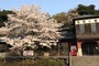 風蘭の館