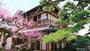 ̏h@Nђijtq`@mn@x`cn@nj@O